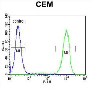 GPM6B Antibody - GPM6B Antibody flow cytometry of CEM cells (right histogram) compared to a negative control cell (left histogram). FITC-conjugated goat-anti-rabbit secondary antibodies were used for the analysis.