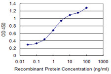 Gpnat1 / GNPNAT1 Antibody - Detection limit for recombinant GST tagged GNPNAT1 is 0.03 ng/ml as a capture antibody.