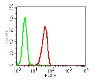 GPR44 / CRTH2 Antibody - Fig-1: Cell surface flow cytometry analysis of GPR44 on HepG2 cells using 0.5 µg/10^6 Cells of Anti-GPR44 antibody. Green represent isotype control and red represent Anti GPR44 antibody. Goat anti mouse PE conjugated was used as the secondary antibody.