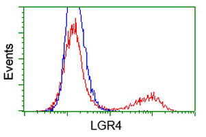 GPR48 / LGR4 Antibody - HEK293T cells transfected with either overexpress plasmid (Red) or empty vector control plasmid (Blue) were immunostained by anti-LGR4 antibody, and then analyzed by flow cytometry.