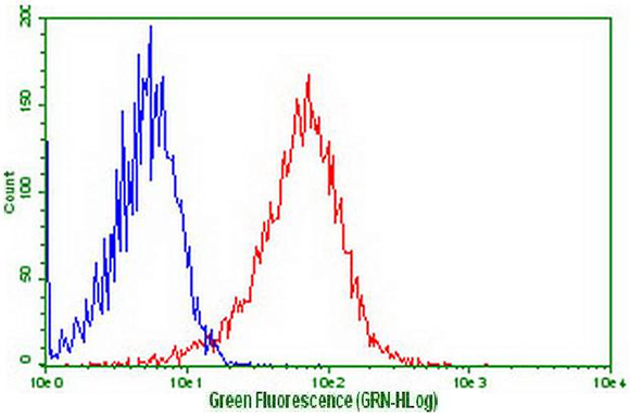 GPR49 / LGR5 Antibody - Flow cytometric Analysis of stable transfection cell line LGR5. (Red) compared to negative control HEK293T cell line(blue)using anti-LGR5 antibody(1:50)