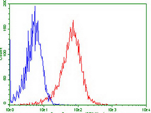 GPR49 / LGR5 Antibody - Flow cytometric analysis of stable expression LGR5 HEK293T cells. (Red) compared to negative control HEK293T cells. (Blue) using anti-LGR5 antibody 1:100) surface stained on live cells.