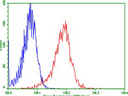 GPR49 / LGR5 Antibody - Flow cytometric analysis of stable expression LGR5 HEK293T cells. (Red) compared to negative control HEK293T cells. (Blue) using anti-LGR5 antibody 1:100) surface stained on live cells.