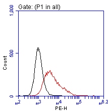 GPR49 / LGR5 Antibody - Flow cytometric analysis of the stable expression of LGR5 plasmid  in live NIH3T3 cells using anti-LGR5 antibody  compared to a nonspecific negative control antibody. (black), surface stained on live cells.