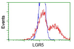 GPR49 / LGR5 Antibody - HEK293T cells transfected with eitheroverexpress plasmid(Red) or empty vector control plasmid(Blue) were immunostained by anti-LGR5 antibody, and then analyzed by flow cytometry.