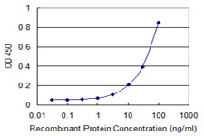 GPR84 Antibody - Detection limit for recombinant GST tagged GPR84 is 1 ng/ml as a capture antibody.