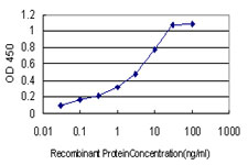 GPS1 / CSN1 Antibody - Detection limit for recombinant GST tagged GPS1 is approximately 1 ng/ml as a capture antibody.
