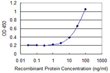 GPX5 Antibody - Detection limit for recombinant GST tagged GPX5 is 1 ng/ml as a capture antibody.