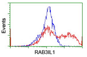 GRAB / RAB3IL1 Antibody - HEK293T cells transfected with either overexpress plasmid (Red) or empty vector control plasmid (Blue) were immunostained by anti-RAB3IL1 antibody, and then analyzed by flow cytometry.