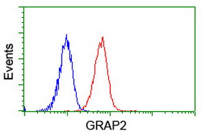 GRAP2 / GRID Antibody - Flow cytometry of Jurkat cells, using anti-GRAP2 antibody (Red), compared to a nonspecific negative control antibody (Blue).
