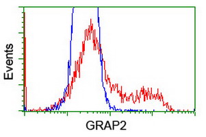 GRAP2 / GRID Antibody - HEK293T cells transfected with either overexpress plasmid (Red) or empty vector control plasmid (Blue) were immunostained by anti-GRAP2 antibody, and then analyzed by flow cytometry.