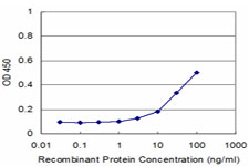 Gravin / AKAP12 Antibody - Detection limit for recombinant GST tagged AKAP12 is approximately 3 ng/ml as a capture antibody.