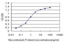 GRB10 Antibody - Detection limit for recombinant GST tagged GRB10 is approximately 0.03 ng/ml as a capture antibody.