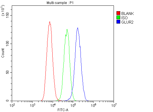 GRIA2 / GLUR2 Antibody - Flow Cytometry analysis of U-87MG cells using anti-GRIA2 antibody. Overlay histogram showing U-87MG cells stained with anti-GRIA2 antibody (Blue line). The cells were blocked with 10% normal goat serum. And then incubated with rabbit anti-GRIA2 Antibody (1µg/10E6 cells) for 30 min at 20°C. DyLight®488 conjugated goat anti-rabbit IgG (5-10µg/10E6 cells) was used as secondary antibody for 30 minutes at 20°C. Isotype control antibody (Green line) was rabbit IgG (1µg/10E6 cells) used under the same conditions. Unlabelled sample (Red line) was also used as a control.
