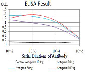 GRIA2 / GLUR2 Antibody - Black line: Control Antigen (100 ng);Purple line: Antigen (10ng); Blue line: Antigen (50 ng); Red line:Antigen (100 ng)