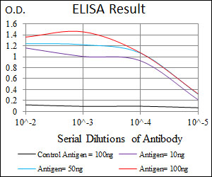 GRIA2 / GLUR2 Antibody - Red: Control Antigen (100ng); Purple: Antigen (10ng); Green: Antigen (50ng); Blue: Antigen (100ng);