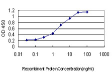 GRID1 Antibody - Detection limit for recombinant GST tagged GRID1 is approximately 0.1 ng/ml as a capture antibody.