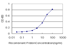 GRID2 Antibody - Detection limit for recombinant GST tagged GRID2 is approximately 1 ng/ml as a capture antibody.