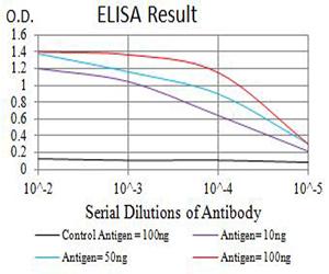 GRIK4 / KA1 Antibody - Black line: Control Antigen (100 ng);Purple line: Antigen (10ng); Blue line: Antigen (50 ng); Red line:Antigen (100 ng)
