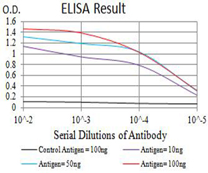GRIK5 / KA2 Antibody - Black line: Control Antigen (100 ng);Purple line: Antigen (10ng); Blue line: Antigen (50 ng); Red line:Antigen (100 ng)