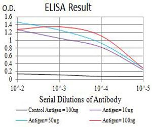 GRIN2A / NMDAR2A / NR2A Antibody - Black line: Control Antigen (100 ng);Purple line: Antigen (10ng); Blue line: Antigen (50 ng); Red line:Antigen (100 ng)