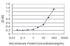 GRM2 / MGLUR2 Antibody - Detection limit for recombinant GST tagged GRM2 is approximately 0.3 ng/ml as a capture antibody.