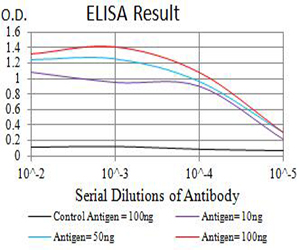 GRM3 / MGLUR3 Antibody - Black line: Control Antigen (100 ng);Purple line: Antigen (10ng); Blue line: Antigen (50 ng); Red line:Antigen (100 ng)