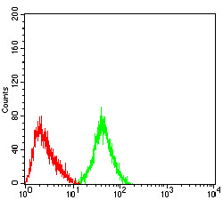 GRM3 / MGLUR3 Antibody - Flow cytometric analysis of SH-SY5Y cells using GRM3 mouse mAb (green) and negative control (red).