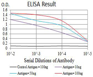 GRM5 / MGLUR5 Antibody - Black line: Control Antigen (100 ng);Purple line: Antigen (10ng); Blue line: Antigen (50 ng); Red line:Antigen (100 ng)