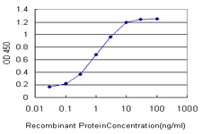 GRM7 / MGLUR7 Antibody - Detection limit for recombinant GST tagged GRM7 is approximately 0.03 ng/ml as a capture antibody.