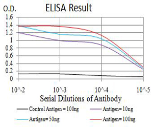 GRM7 / MGLUR7 Antibody - Black line: Control Antigen (100 ng);Purple line: Antigen (10ng); Blue line: Antigen (50 ng); Red line:Antigen (100 ng)