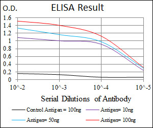 GSC / Goosecoid Antibody - Red: Control Antigen (100ng); Purple: Antigen (10ng); Green: Antigen (50ng); Blue: Antigen (100ng);
