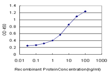 GSC / Goosecoid Antibody - Detection limit for recombinant GST tagged GSC is approximately 0.1 ng/ml as a capture antibody.