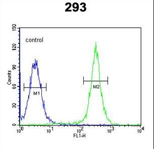 GSDMA Antibody - GSDMA Antibody flow cytometry of 293 cells (right histogram) compared to a negative control cell (left histogram). FITC-conjugated goat-anti-rabbit secondary antibodies were used for the analysis.