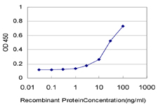 GSK3B / GSK3 Beta Antibody - Detection limit for recombinant GST tagged GSK3B is approximately 3 ng/ml as a capture antibody.