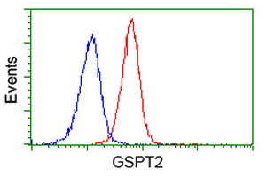 GSPT2 Antibody - Flow cytometry of Jurkat cells, using anti-GSPT2 antibody (Red), compared to a nonspecific negative control antibody (Blue).