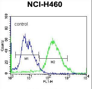 GSR / Glutathione Reductase Antibody - GSR Antibody flow cytometry of NCI-H460 cells (right histogram) compared to a negative control cell (left histogram). FITC-conjugated donkey-anti-rabbit secondary antibodies were used for the analysis.