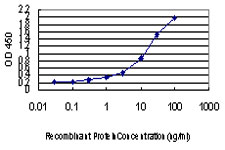 GSR / Glutathione Reductase Antibody - Detection limit for recombinant GST tagged GSR is approximately 0.03 ng/ml as a capture antibody.