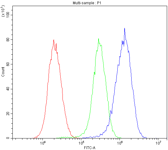 GSR / Glutathione Reductase Antibody - Flow Cytometry analysis of A549 cells using anti-GSR antibody. Overlay histogram showing A549 cells stained with anti-GSR antibody (Blue line). The cells were blocked with 10% normal goat serum. And then incubated with rabbit anti-GSR Antibody (1µg/10E6 cells) for 30 min at 20°C. DyLight®488 conjugated goat anti-rabbit IgG (5-10µg/10E6 cells) was used as secondary antibody for 30 minutes at 20°C. Isotype control antibody (Green line) was rabbit IgG (1µg/10E6 cells) used under the same conditions. Unlabelled sample (Red line) was also used as a control.
