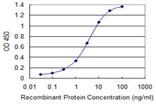 GSTA2 Antibody - Detection limit for recombinant GST tagged GSTA2 is 0.03 ng/ml as a capture antibody.