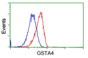 GSTA4 Antibody - Flow cytometry of HeLa cells, using anti-GSTA4 antibody, (Red), compared to a nonspecific negative control antibody, (Blue).