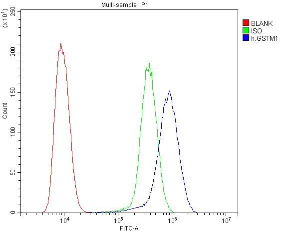 GSTM1 Antibody - Flow Cytometry analysis of U20S cells using anti-GSTM1 Antibody. Overlay histogram showing U20S cells stained with anti-GSTM1 Antibody (Blue line). The cells were blocked with 10% normal goat serum. And then incubated with mouse anti-GSTM1 Antibody (1µg/10E6 cells) for 30 min at 20°C. DyLight®488 conjugated goat anti-mouse IgG (5-10µg/10E6 cells) was used as secondary antibody for 30 minutes at 20°C. Isotype control antibody (Green line) was mouse IgG (1µg/10E6 cells) used under the same conditions. Unlabelled sample (Red line) was also used as a control.