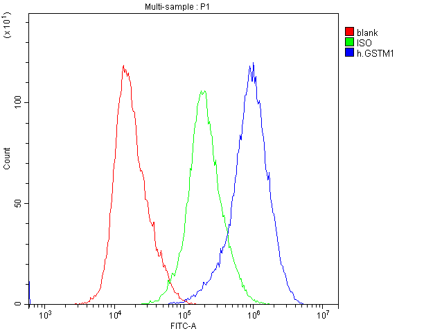 GSTM1 Antibody - Flow Cytometry analysis of HELA cells using anti-GSTM1 Antibody. Overlay histogram showing HELA cells stained with anti-GSTM1 Antibody (Blue line). The cells were blocked with 10% normal goat serum. And then incubated with mouse anti-GSTM1 Antibody (1µg/10E6 cells) for 30 min at 20°C. DyLight®488 conjugated goat anti-mouse IgG (5-10µg/10E6 cells) was used as secondary antibody for 30 minutes at 20°C. Isotype control antibody (Green line) was mouse IgG (1µg/10E6 cells) used under the same conditions. Unlabelled sample (Red line) was also used as a control.