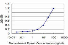 GSTM5-5 / GSTM5 Antibody - Detection limit for recombinant GST tagged GSTM5 is approximately 1 ng/ml as a capture antibody.