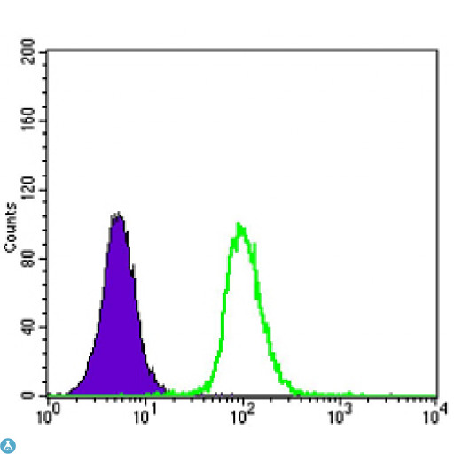 GSTP1 / GST Pi Antibody - Flow cytometric (FCM) analysis of K562 cells using GSTP1 Monoclonal Antibody (green) and negative control (purple).
