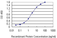 GSTT2 Antibody - Detection limit for recombinant GST tagged GSTT2 is 0.03 ng/ml as a capture antibody.