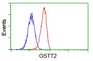 GSTT2 Antibody - Flow cytometry of Jurkat cells, using anti-GSTT2 antibody, (Red), compared to a nonspecific negative control antibody, (Blue).