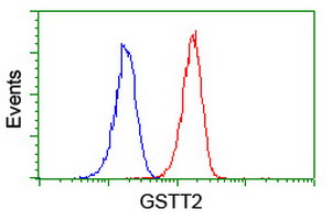 GSTT2 Antibody - Flow cytometry of Jurkat cells, using anti-GSTT2 antibody (Red), compared to a nonspecific negative control antibody (Blue).