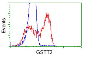 GSTT2 Antibody - HEK293T cells transfected with either overexpress plasmid (Red) or empty vector control plasmid (Blue) were immunostained by anti-GSTT2 antibody, and then analyzed by flow cytometry.