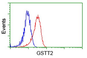 GSTT2 Antibody - Flow cytometry of HeLa cells, using anti-GSTT2 antibody, (Red), compared to a nonspecific negative control antibody, (Blue).